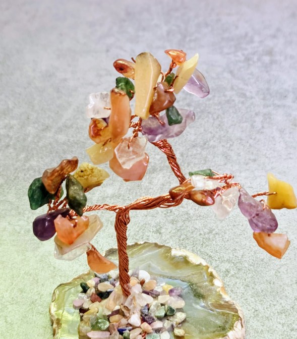 WhatsApp Image 2025-08-26 at 17.56.56